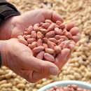 해뜨는농원 이미지