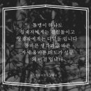 인셀덤 바라기
