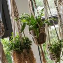 마크라메 플랜트 행잉 DIY 이미지