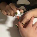 Holly Molly 이미지