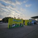 오늘도 댕댕 | 댕댕런2025 in 대전 후기 반려견 러닝 축제 현장 스케치
