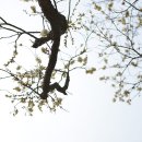 학동 펜션 이미지