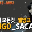 🏆엘땅고 일타강사 상급 클래스🏆● 마에스트로 워크샵 ＜SACADA＞ ● 이미지