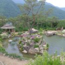 포레스트 12 자연휴양림 이미지