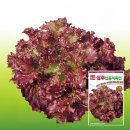 선홍농장 이미지