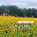 청주 근교 데이트 / 오창 미래지농촌테마공원 가을 나들이 코스모스