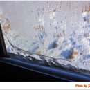 애니오토 카 이미지