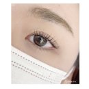 창동 가로수길 이미지