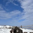 그린게스트하우스 이미지