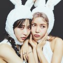 투래빗츠