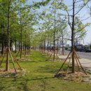 오천근린3공원 이미지