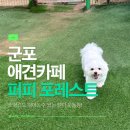 퍼피퍼피애견카페