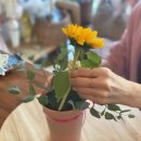 사진촬영취미반 이미지