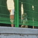 한얼고등학교 이미지