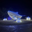 다대포 꿈의 낙조분수 이미지