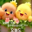 4월 21일 출석부입니다 이미지