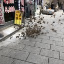 참새의상실