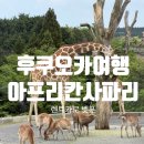 아기랑 후쿠오카 3박4일 | 아프리칸 사파리 렌트카로 다녀온 후기(렌트카vs투어버스)