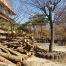 온누리누룽지백숙 하남점 이미지