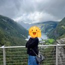 어뉴백 | [프라다 가방 리폼] 어뉴백(ANEWBAG) 리폼 후기 (4개월 사용후기, 디자인, 가격, 제작시간)