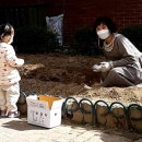 나무와열매어린이집 이미지