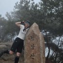 다이어트벨리댄스(야간) | 등산 다이어트 후기 몸무게변화