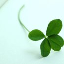 타로심리상담사 이미지