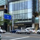 서울 강남 호텔 추천, 신라스테이 역삼 후기