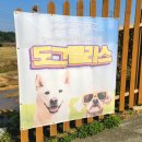 도그도그 | 애견글램핑 추천 도그팰리스 후기 당진 견종제한없는 독채 프라이빗 캠핑