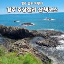 읍천항 화장실 | 경주 감포 가볼만한곳 읍천항 출렁다리 주상절리 산책코스