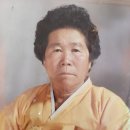 연세 민의원 이미지