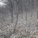 은평-043 이미지