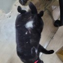 은평구아이폰수리 은평구 아이폰수리 픽스샵에서 액정교체 깔끔하게 받고 왔어요~