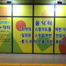 닥터스크린골프 네이버블로그
