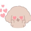 쑤기네일 이미지