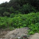 파주법원경기-파주-법원4 이미지