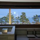 파라스테이 이미지