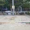 대전샘머리초교 이미지