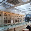 안경나래 이미지