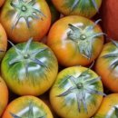 형제청과 이미지