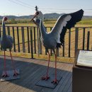 한강철책길 이미지