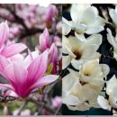 유일메디칼 이미지