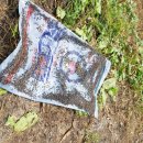 장군면사무소 이미지