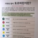 아하데이스파 오륙도점