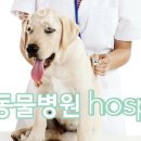 개포동물병원 이미지