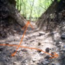 영호농장2 이미지