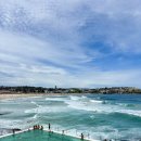 클리어비치 | [시드니 여행] 본다이비치 아이스버그수영장 수영 후기