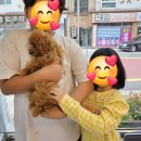 김해해피몽 | 우리 이쁜아가들을 가족으로 맞아주신분들..