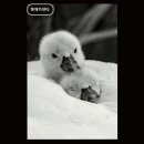 형제카센타 - 화성시 지산2길 20-13 | 형제카센타