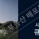 오피스큐브